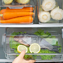 FreshBox | Ordena tu refri. Conserva mejor. | Pack x6